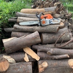 【伐採業者さん】【造園屋さん】薪にするための伐採木、原木、譲ってください。の画像