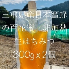 【愛知県春日井市または三重県度会町引取】三重県産日本蜜蜂の百花蜜...