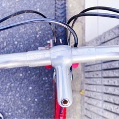 ARAYA  muddy fox マウンテンバイク ヴィンテージ　メンテ済