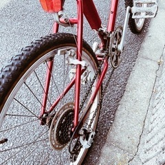 ARAYA  muddy fox マウンテンバイク ヴィンテージ　メンテ済