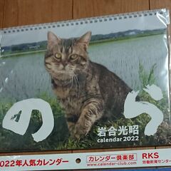 新品 猫 コレクション のら②