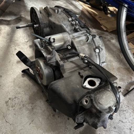 榊原D.C.のスポーツ・カイロプラクティック〈上肢・下肢編〉