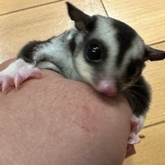 週末までの🎃ハロウィンスーパーセール中🎃