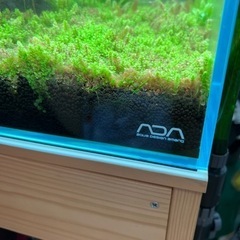 60センチ水槽セット ADA ゼンスイ エーハイム チヒロ