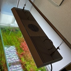 60センチ水槽セット ADA ゼンスイ エーハイム チヒロ