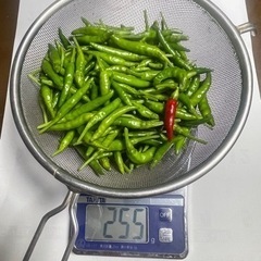 青唐辛子250g