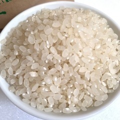 滋賀北部産　農薬不使用コシヒカリ　30kg 7分つき　R4