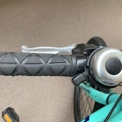 【小学生に大人気】ビアンキ　ピラータ　人気カラー　希少の20インチ！　変則ギア付き