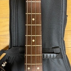 ベース FGN 付属品付　弦取替必要 ベース FGN 付属品付 弦取替必要