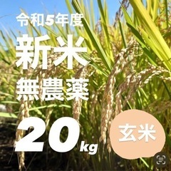 令和5年新米 無農薬　広島県産  ヒノヒカリ 玄米 20 キロ