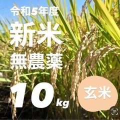 令和5年新米無農薬 広島県産  ヒノヒカリ 玄米 10 キロ