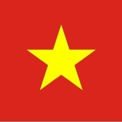 ベトナム語　日本語　100%  翻訳　通訳