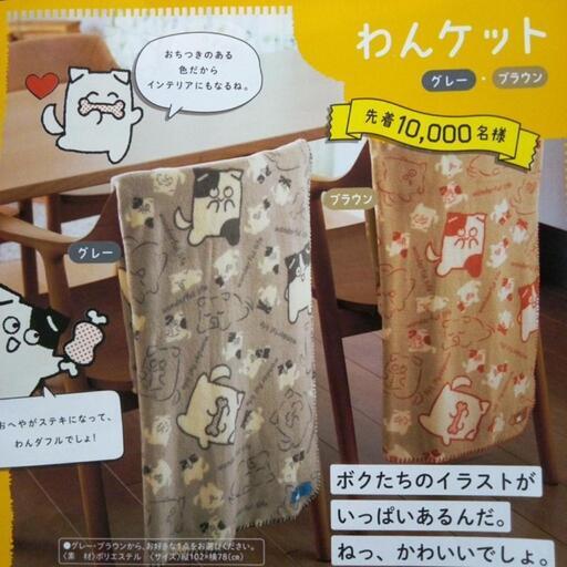 ＊新品＊フリースひざ掛け2枚\u0026保冷バッグ2個 まとめて