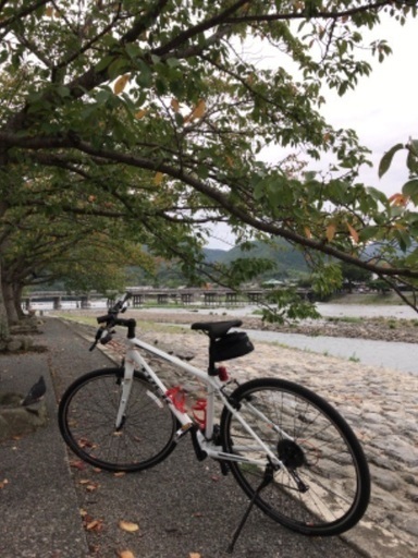 値下☆TREK FX3  トレック