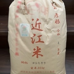 令和４年度　コシヒカリ　玄米20キロ　4000