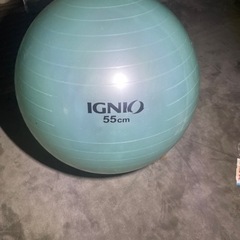 イグニオのバランスボール(55cm)(青)
