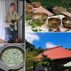 🌳大自然療法とマコモ茶作り🌳古民家イベント🎪のお知らせです📢