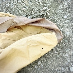 テンマクデザイン　サーカスTC  格安　訳あり