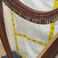 1005-060 ハープ ※弦一部なし 未検品 カバー付き