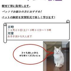 山梨文化学園にて10月28日(土)11月11日(土)13時30分～