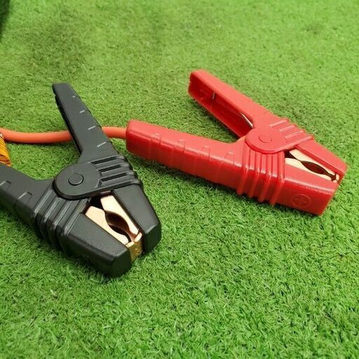 Deltran Japan合同会社 030-1011-JP バッテリーテンダー【野田愛宕店