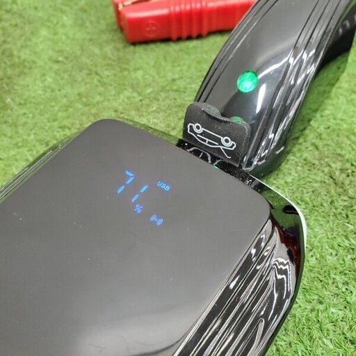 Deltran Japan合同会社 030-1011-JP バッテリーテンダー【野田愛宕店