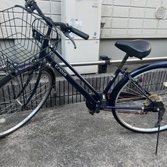 今年四年目の自転車です