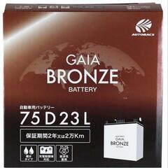 【ネット決済・配送可】GAIA BRONZE BATTERY 7...