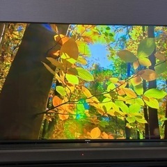 10/18まで限定出品 Hisense 薄型テレビ　50インチ　...