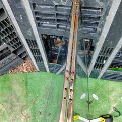 1966年ﾀﾞｯﾄｻﾝｻﾆｰ☆両窓ﾘｱｶﾞﾗｽ