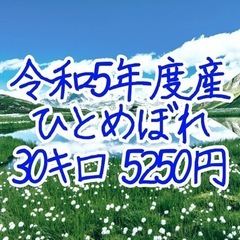 令和5年度 新米(玄米)30キロ【新規受付中止】