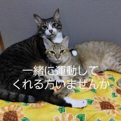 一緒にダイエットしてくれる方いませんか…？？