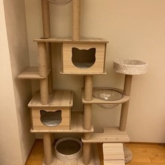 キャットタワー 引き渡し者決定