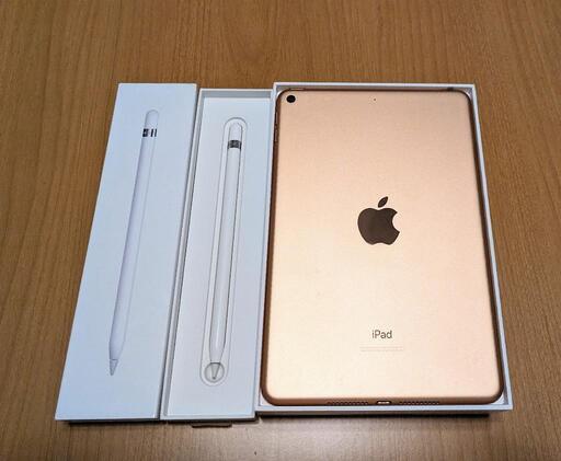 iPad mini 第5世代 256GB Wi-Fi Apple Pencil