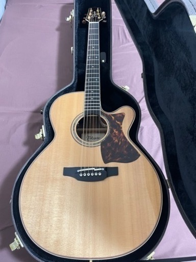 Takamine DMP50S WR エレアコギター 島村楽器 コラボモデル
