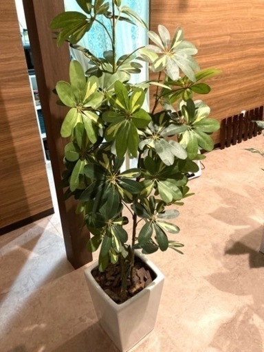 観葉植物(造花)160cm