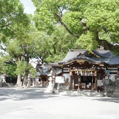 new open！庄内神社でヨガをはじめませんか？