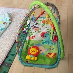 フィッシャープライス(fisher price) レインフォレス...