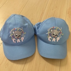 新品未使用！DWE CAP