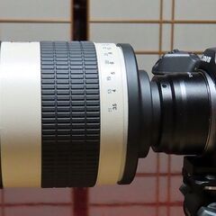 Kenko MIRROR LENS 800mm F8 DX