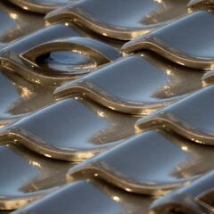 Kenko MIRROR LENS 800mm F8 DX