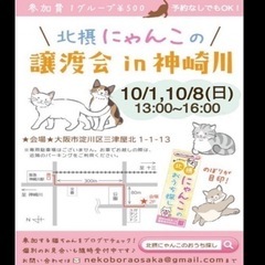 １０月８日猫譲渡会in淀川区神崎川