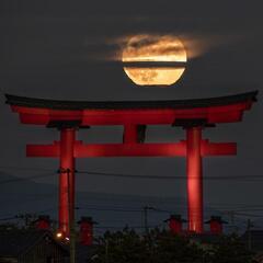 神社巡りとか歴史が好きな人