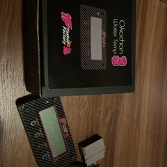 岡ちゃんウォーターテンプ3