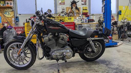 2004年☆XL883☆キャブモデル 中古車購入ガイド【～2003年式スポーツ