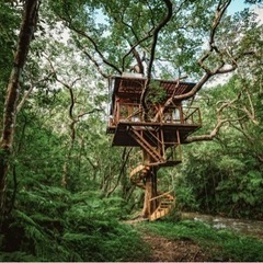 サステナブルリゾート　Treeful treehouse清掃業務の画像