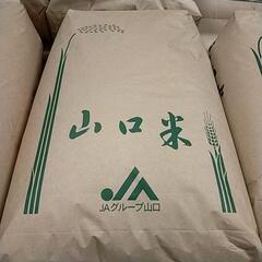 新米　玄米30kg　キヌムスメ