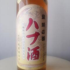 ハブ酒 / 沖縄