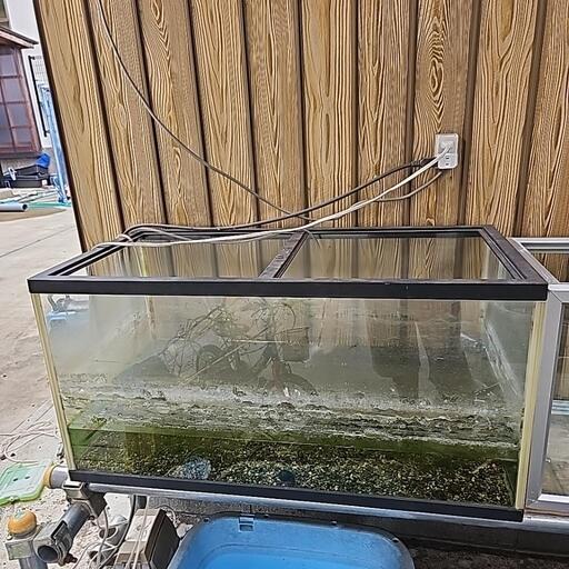【お取引先決定】90センチ水槽