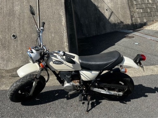 ape エイプ50